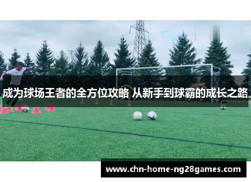 成为球场王者的全方位攻略 从新手到球霸的成长之路 成为球场王者的全方位攻略 从新手到球霸的成长之路