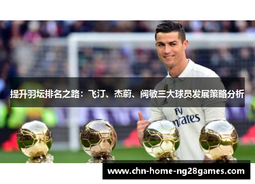 提升羽坛排名之路：飞汀、杰蔚、阀敏三大球员发展策略分析