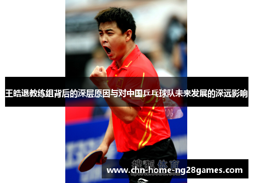 王皓退教练组背后的深层原因与对中国乒乓球队未来发展的深远影响 王皓退教练组背后的深层原因与对中国乒乓球队未来发展的深远影响