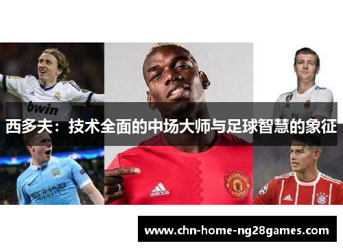 西多夫：技术全面的中场大师与足球智慧的象征