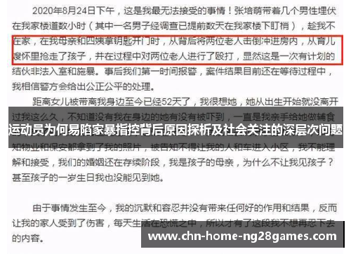 运动员为何易陷家暴指控背后原因探析及社会关注的深层次问题